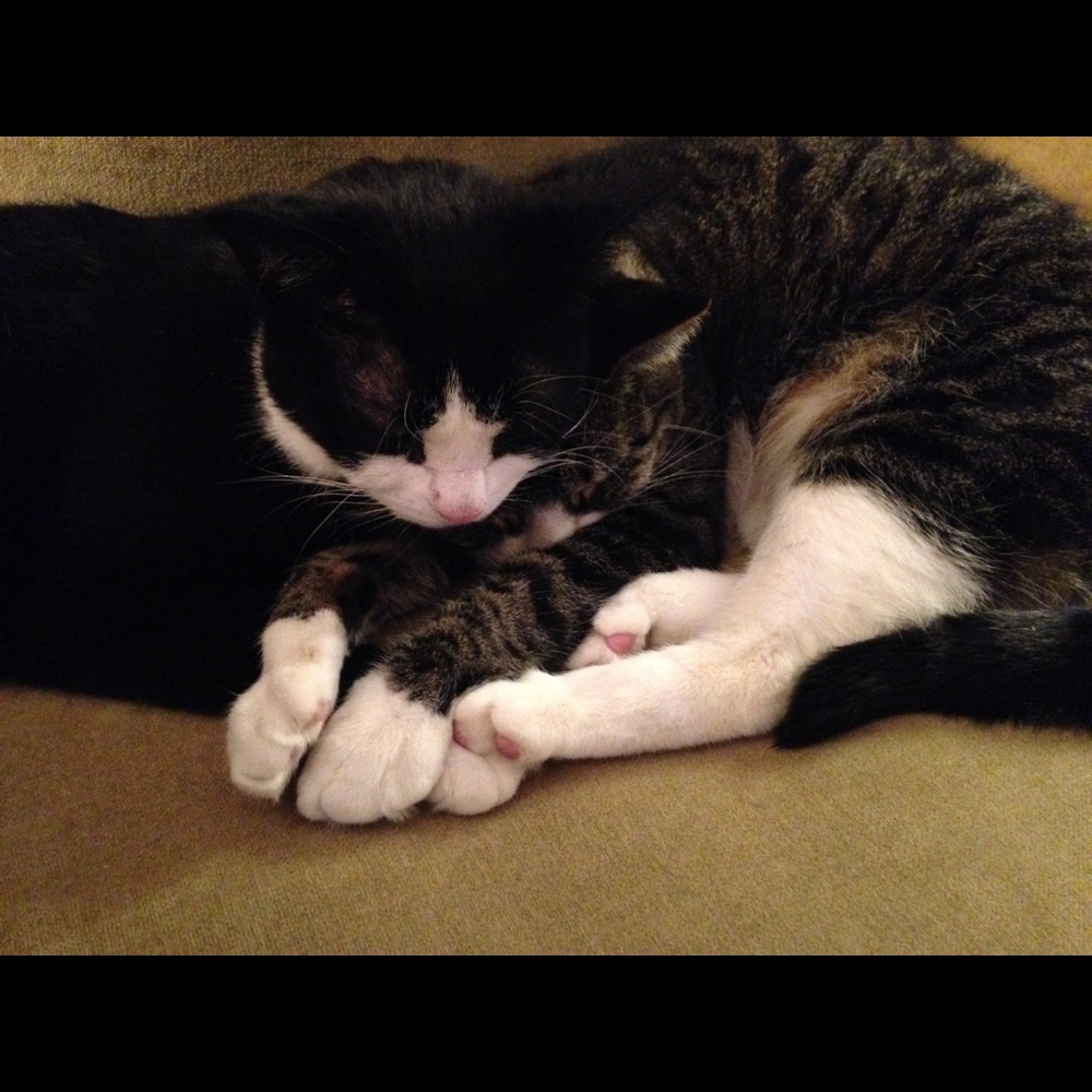 Meet your Posher, Linda